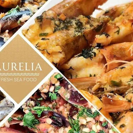 Aurelia Complex 3* רבדה